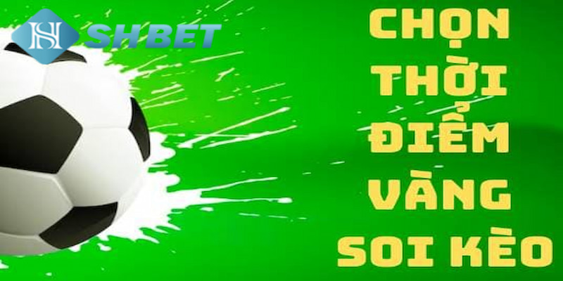 Banner www.vatlieuxaydungcmc.com