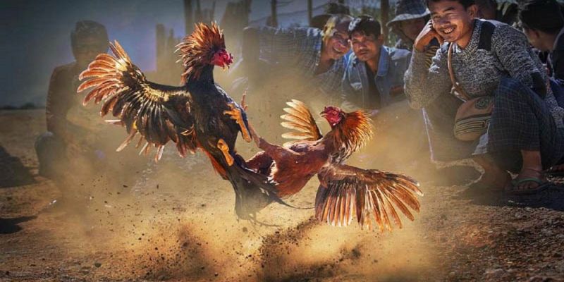 Banner www.vatlieuxaydungcmc.com