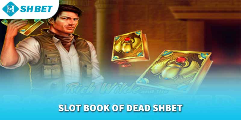 Banner www.vatlieuxaydungcmc.com