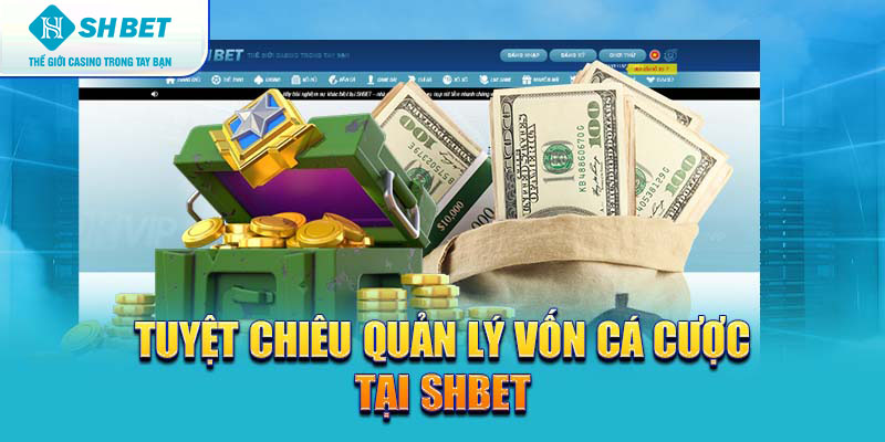 Banner www.vatlieuxaydungcmc.com