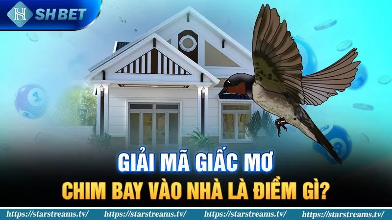 Banner www.vatlieuxaydungcmc.com