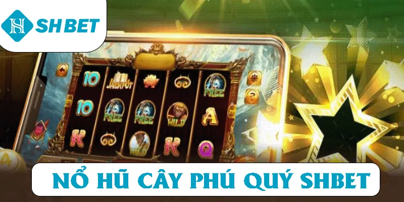 Banner www.vatlieuxaydungcmc.com